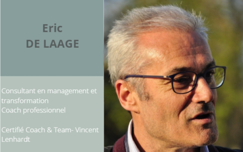 Eric-de-Laage-Mosaique